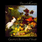 Exotic Birds And Fruit (1974)