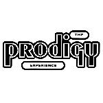 The Prodigy - Experience (1992)